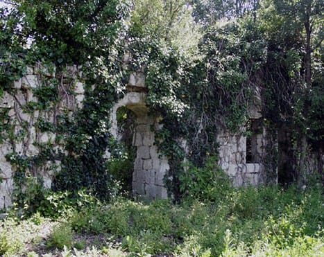 Pan de mur en pierre des ruines du château, envahi de lierre et de broussailles, avec une ouverture en arc et deux fenêtres encore visibles sous les arbres.